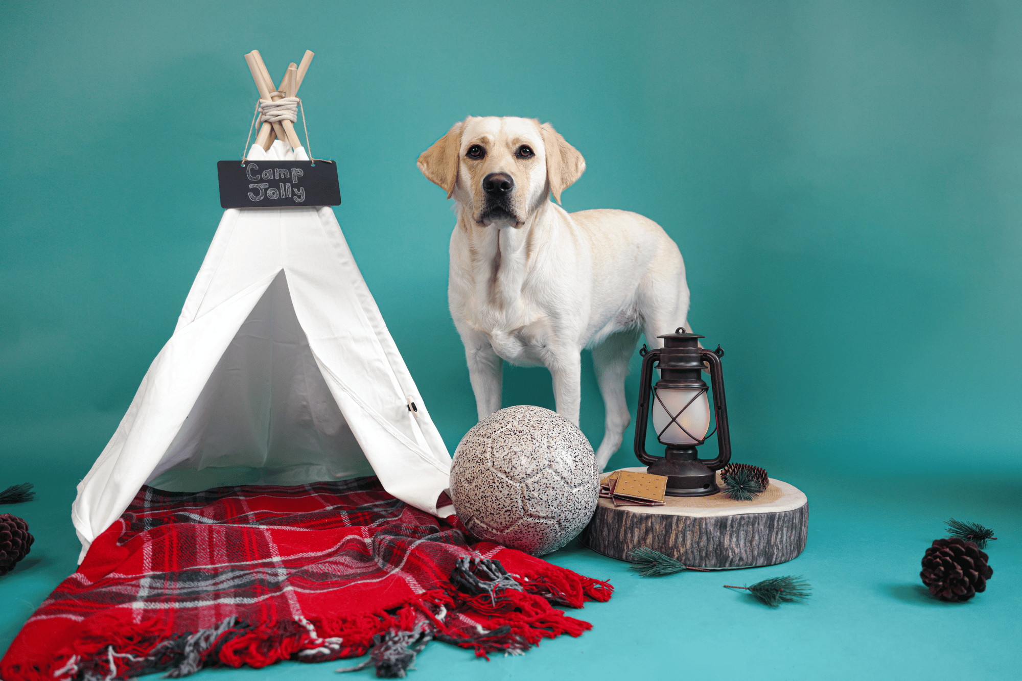 Jolly Pets Limited-Edition S'mores Jolly Soccer Ball 