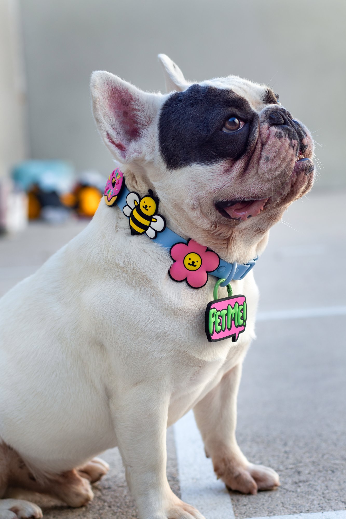 Jiby Dog Crew Jiby Dog Charm