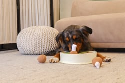 Chicken n Gravy Snuffle Bowl