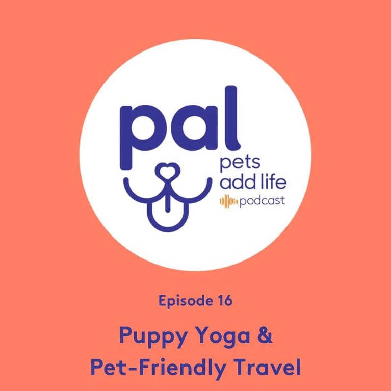 Episode 16: Puppy Yoga and Pet-Friendly Travel