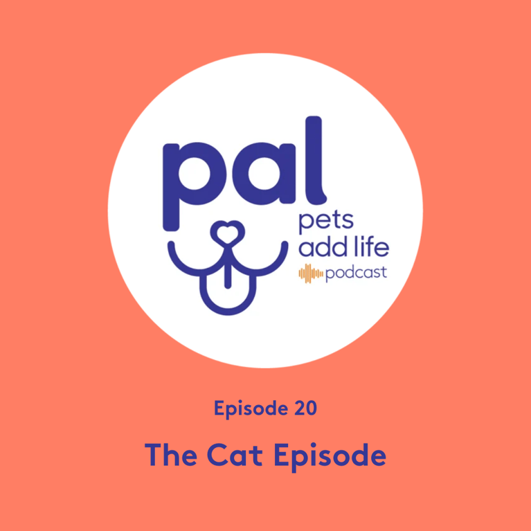 Episode 20: The Cat Episode: Tips from a Feline Expert and CatVideoFest Extravaganza