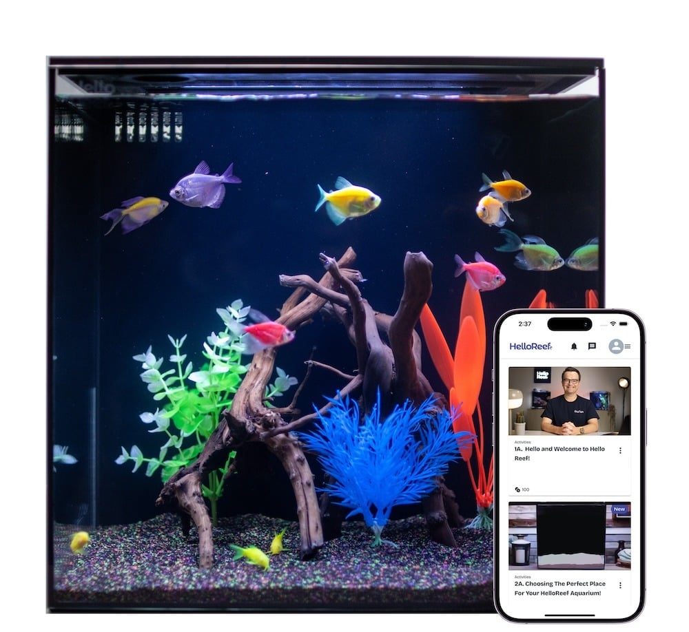 HelloReef Glofish Aquarium Kit