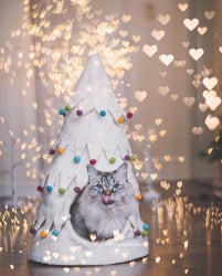 Karma Cat Xmas Tree Cave