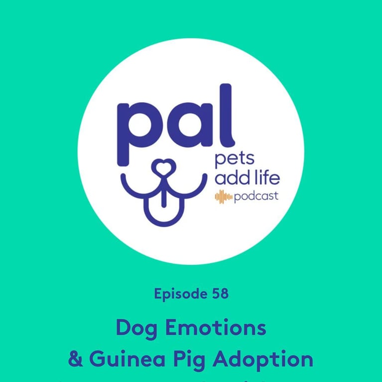 58. Understanding Dog Emotions, Community Pet Care & Guinea Pig Adoption