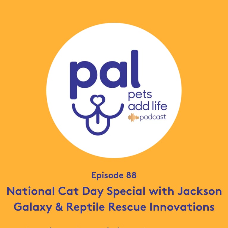 88. National Cat Day Special with Jackson Galaxy & Reptile Rescue Innovations