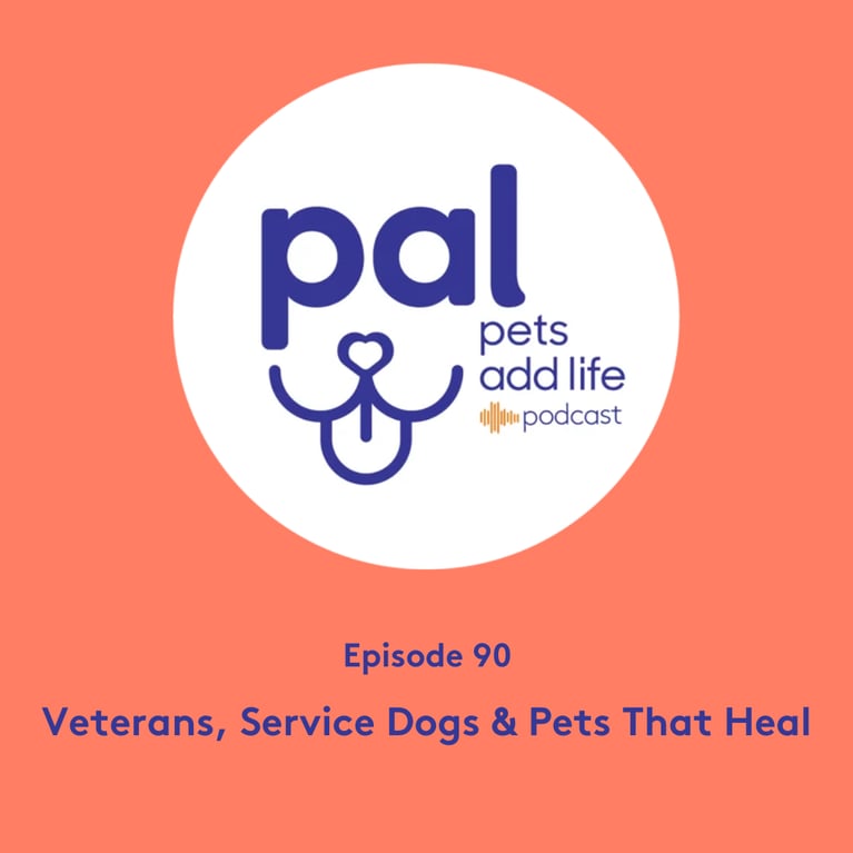 90. Veterans, Service Dogs & Pets That Heal
