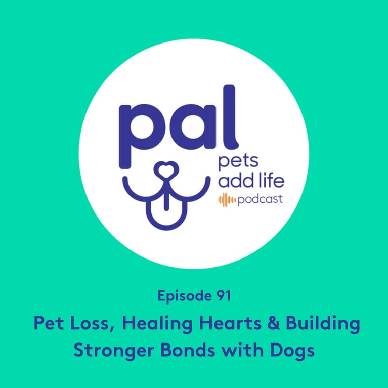91. Pet Loss, Healing Hearts & Building Stronger Bonds with Dogs