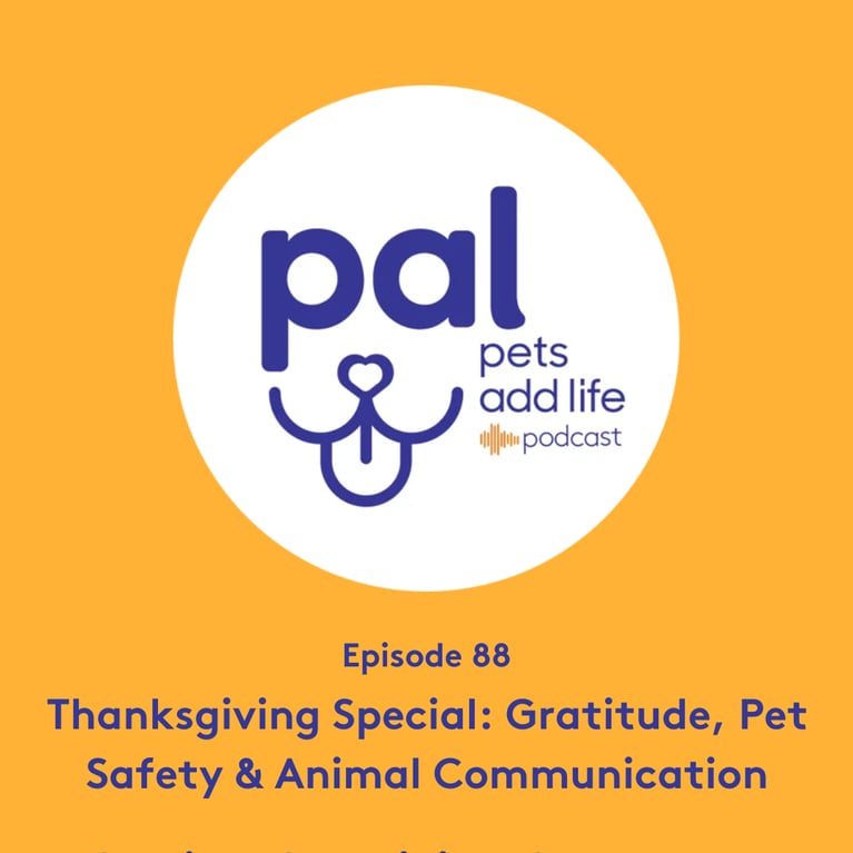 92. Thanksgiving Special: Gratitude, Pet Safety & Animal Communication