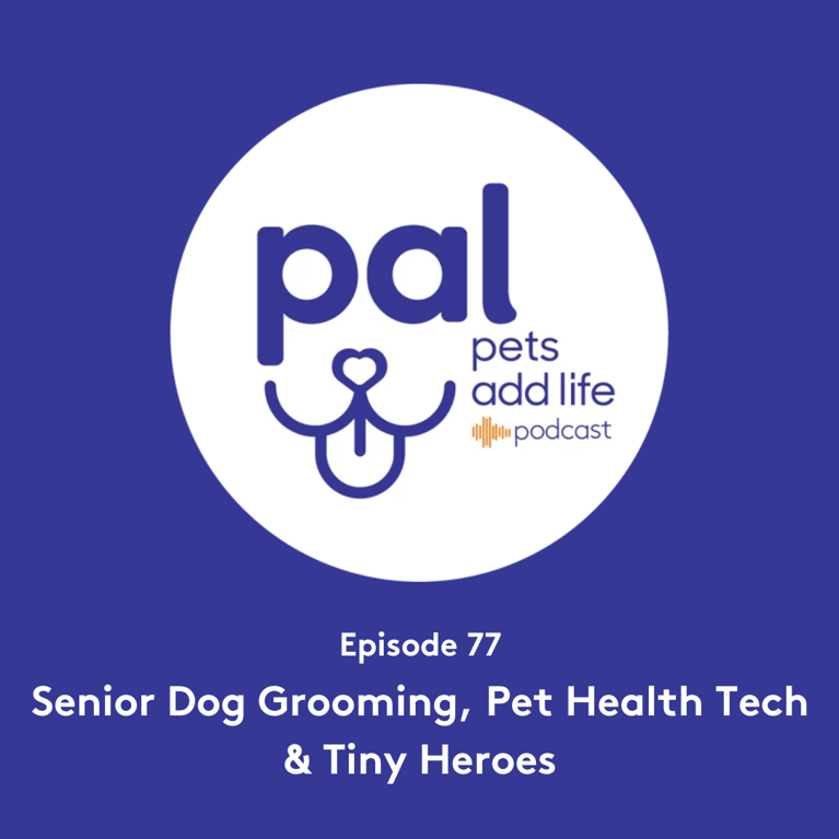 77. Senior Dog Grooming, Pet Health Tech & Tiny Heroes