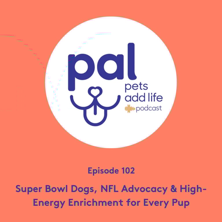 102. Super Bowl Dogs, NFL Advocacy & High-Energy Enrichment for Every Pup