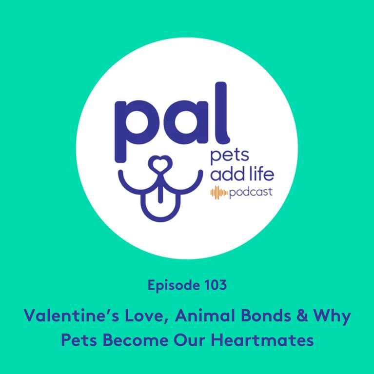 103. Valentine’s Love, Animal Bonds & Why Pets Become Our Heartmates