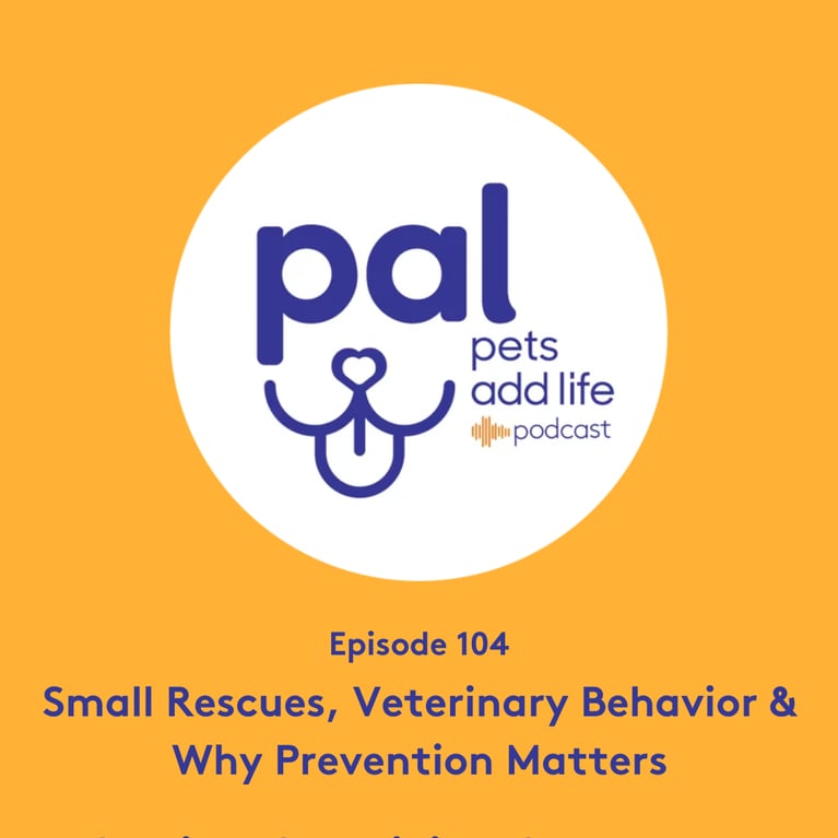 104. Small Rescues, Veterinary Behavior & Why Prevention Matters