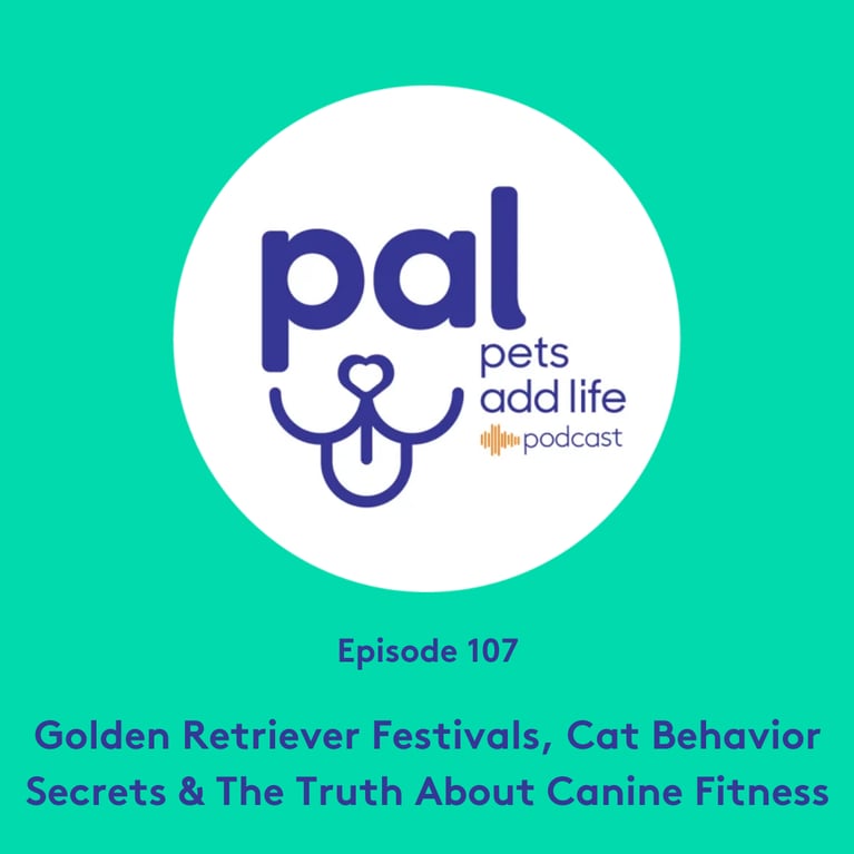 107. Golden Retriever Festivals, Cat Behavior Secrets & The Truth About Canine Fitness