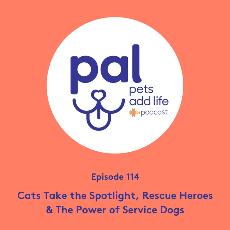 114. Cats Take the Spotlight, Rescue Heroes & The Power of Service Dogs