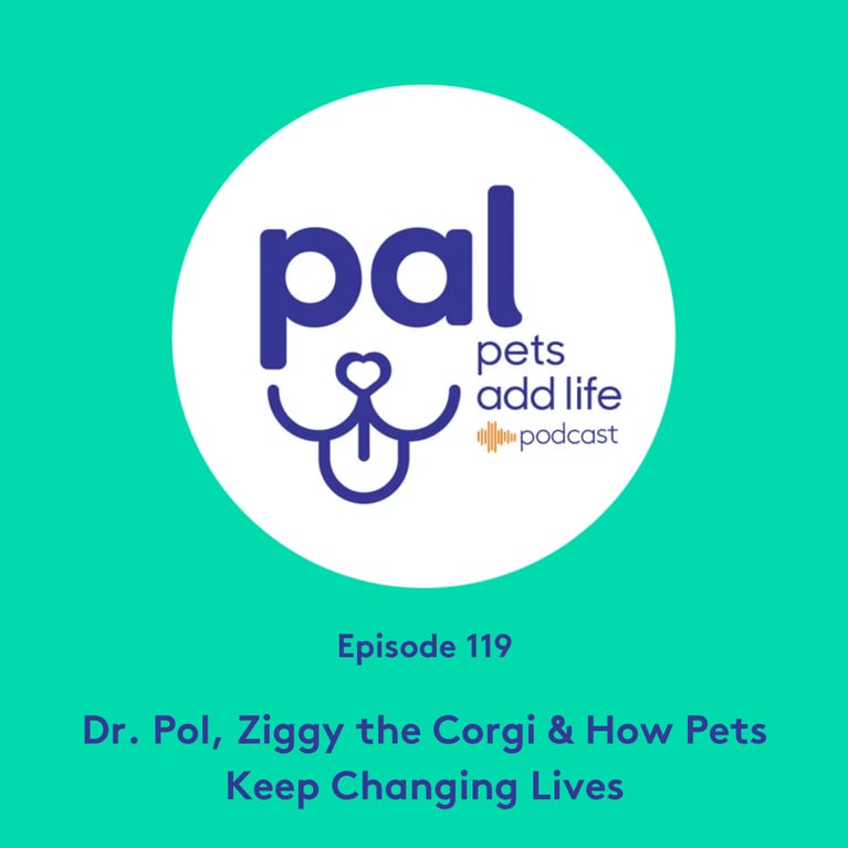 119. Dr. Pol, Ziggy the Corgi & How Pets Keep Changing Lives