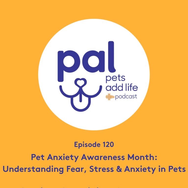 120. Pet Anxiety Awareness Month: Understanding Fear, Stress & Anxiety in Pets