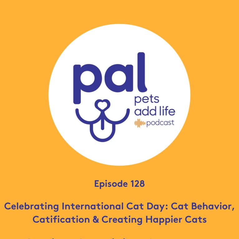 128. Celebrating International Cat Day: Cat Behavior, Catification & Creating Happier Cats