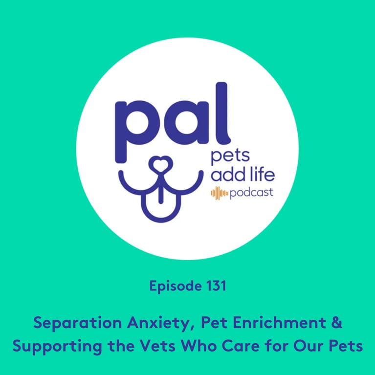 131. Separation Anxiety, Pet Enrichment & Supporting the Vets Who Care for Our Pets