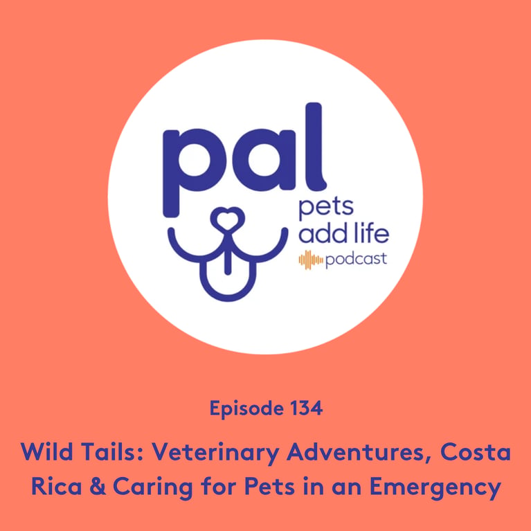 134. Wild Tails: Veterinary Adventures, Costa Rica & Caring for Pets in an Emergency