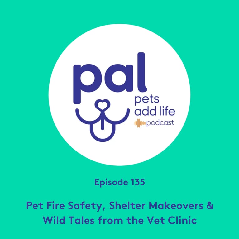 135. Pet Fire Safety, Shelter Makeovers & Wild Tales from the Vet Clinic