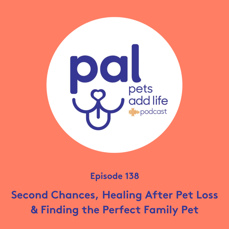 138. Second Chances, Healing After Pet Loss & Finding the Perfect Family Pet