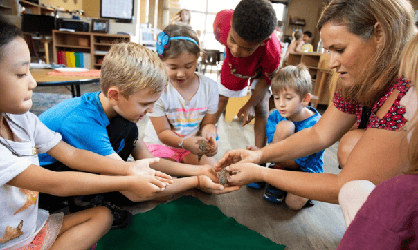 pets in the classroom