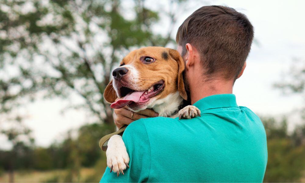 Holding dog