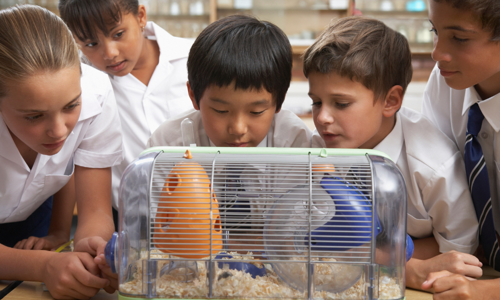 kids with pets in the classroom